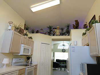 Kitchen wth Rain Forest with decor lighting