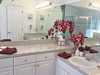 Master Bathroom with Rain Forest Shower