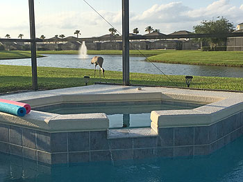 Spa View of the Lakeside Fountain and Wildlife