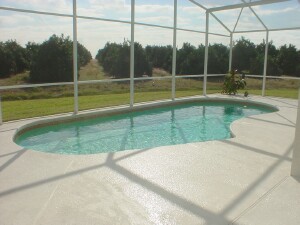 The Pool