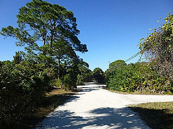 Leafy Lemon Avenue. Lovely stroll to beach!