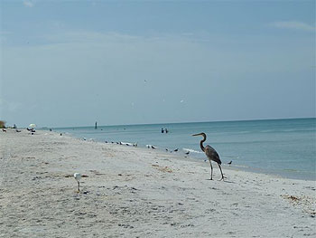 Boca Grande Beach