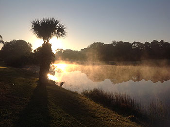 January Sunrise