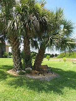 A shady spot in the heat of the day