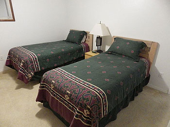 Double Room with Twin Beds and television