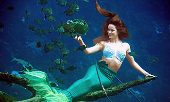 Weeki Wachee mermaid